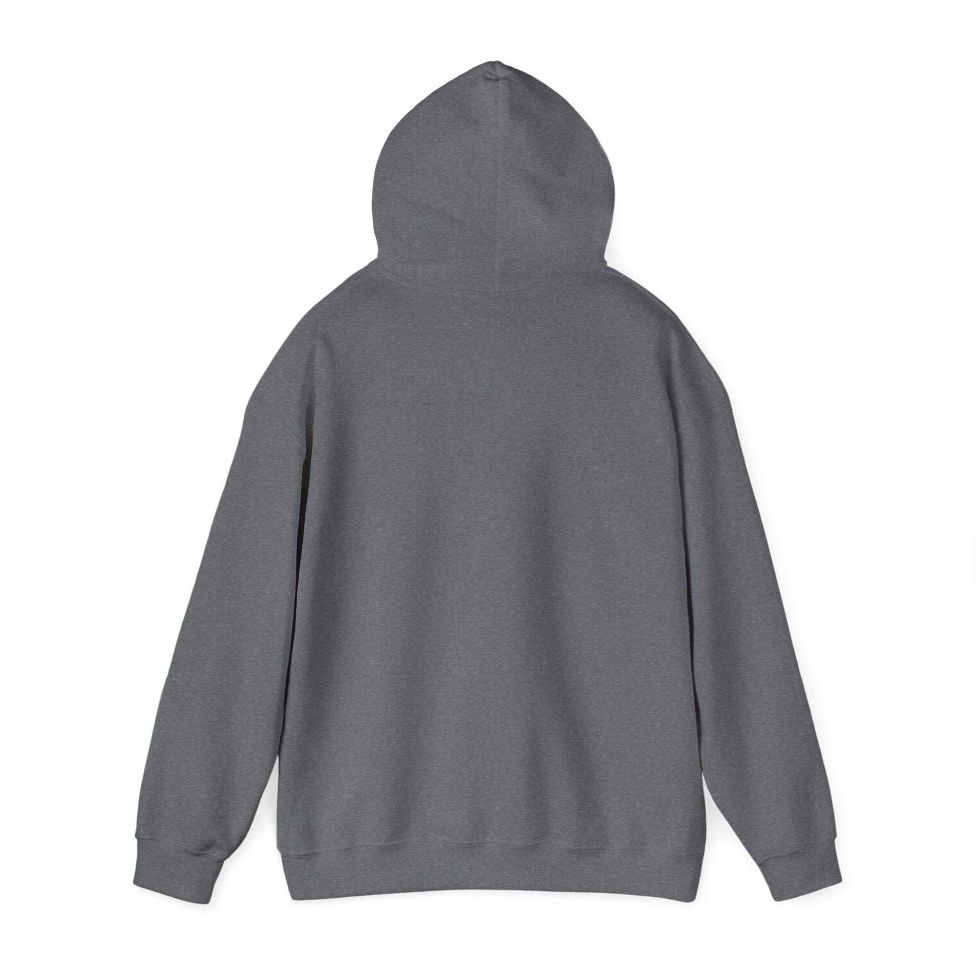 Cozy Lakeboat Coffee Co. Hoodie