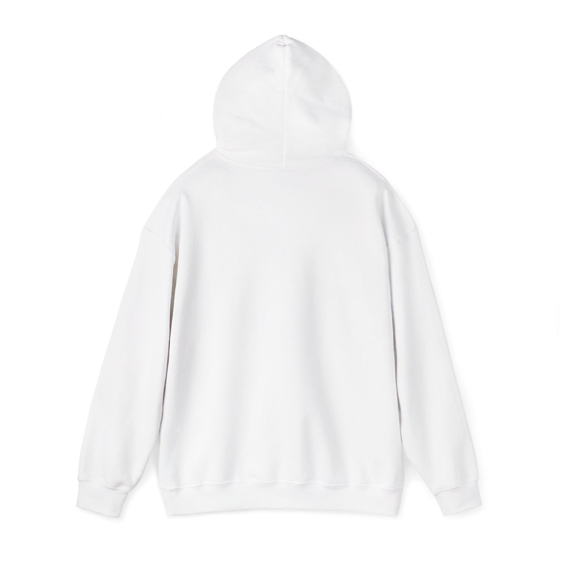Cozy Lakeboat Coffee Co. Hoodie