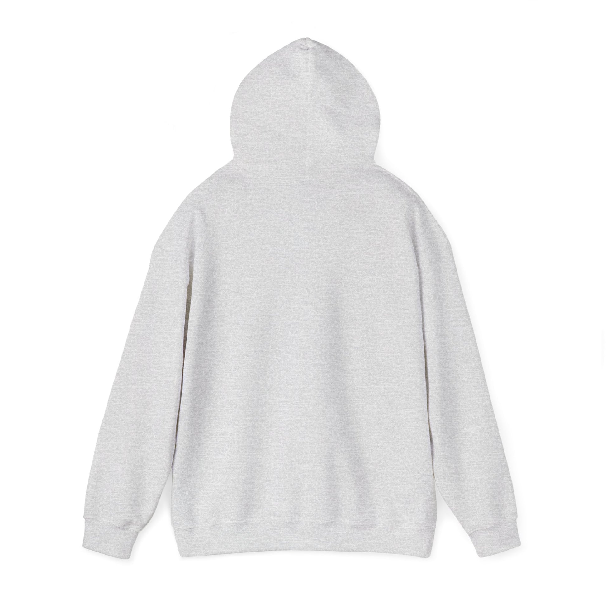 Cozy Lakeboat Coffee Co. Hoodie