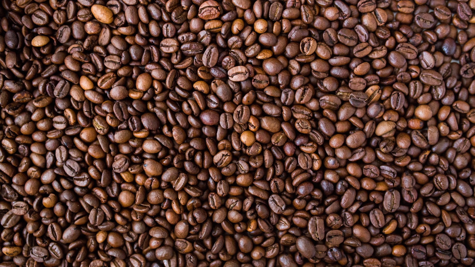 Understanding the Coffee Growing Process