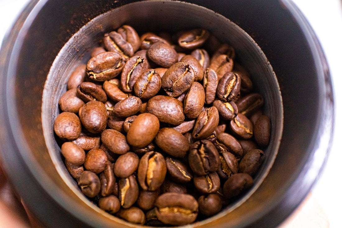 A person is holding a pot full of coffee beans