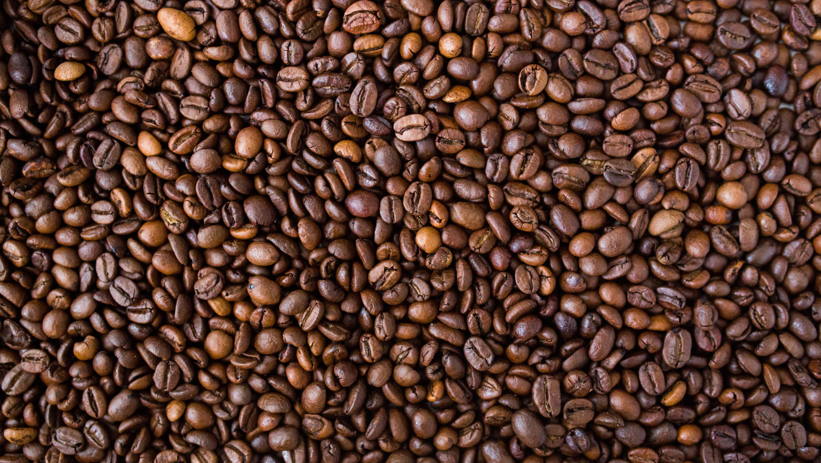 Gourmet Coffee